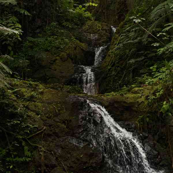 _DSC7253_DxO_DxO.jpg.jpg